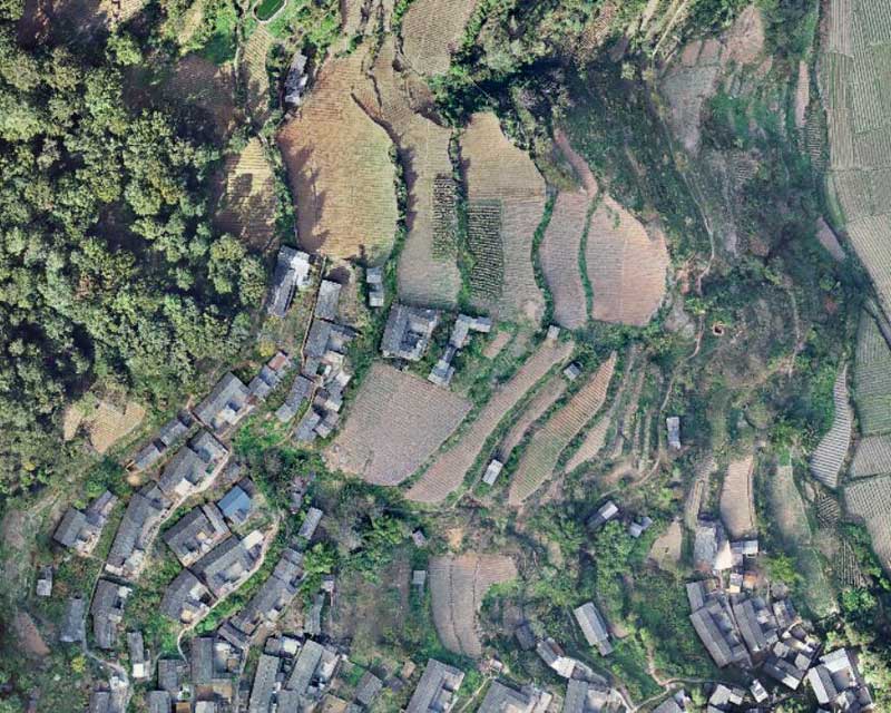 林業(yè)調(diào)查